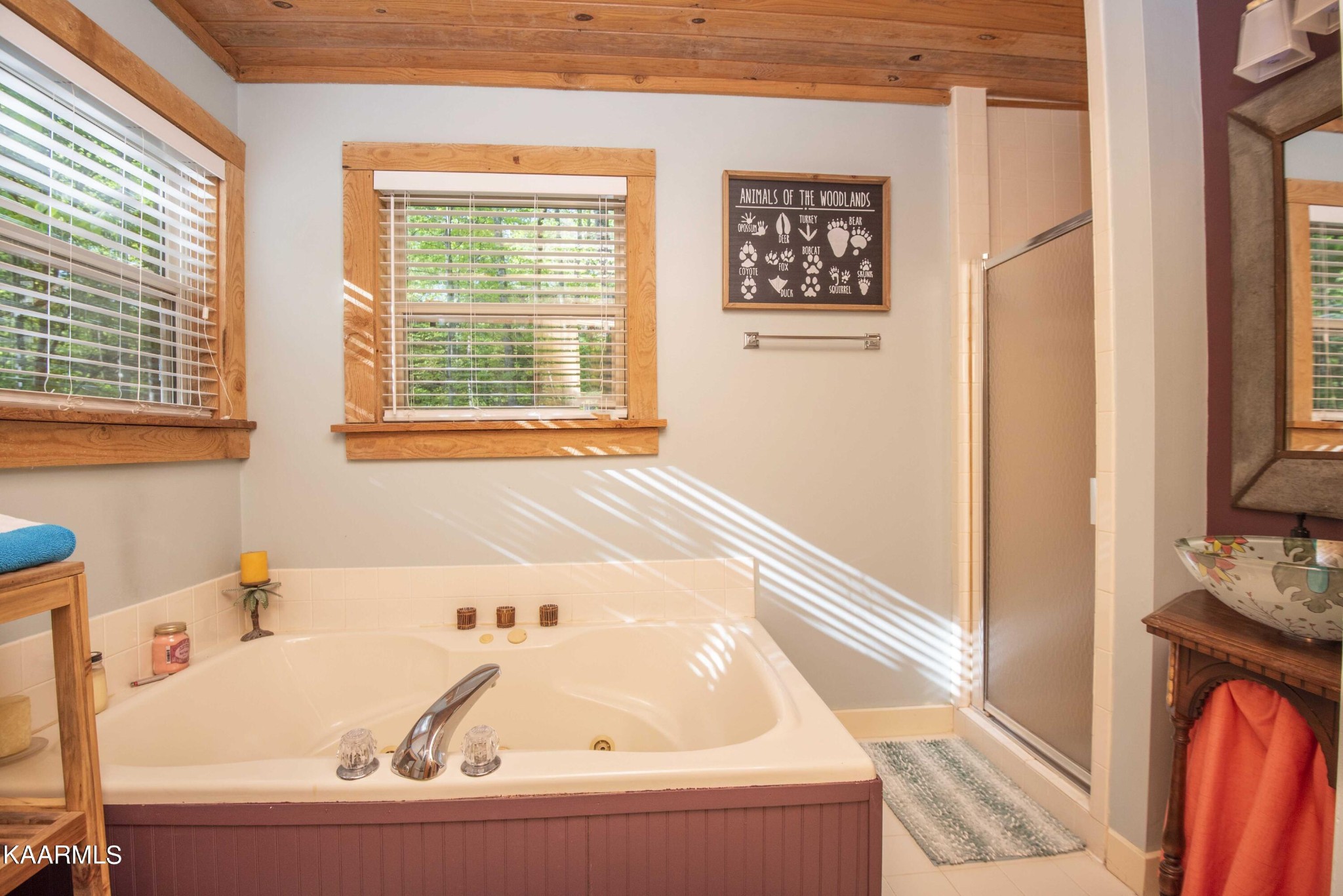 106 Club View Road Townsend, TN 37882 - Photo 25 of 55 a bathroom with bathtub and window