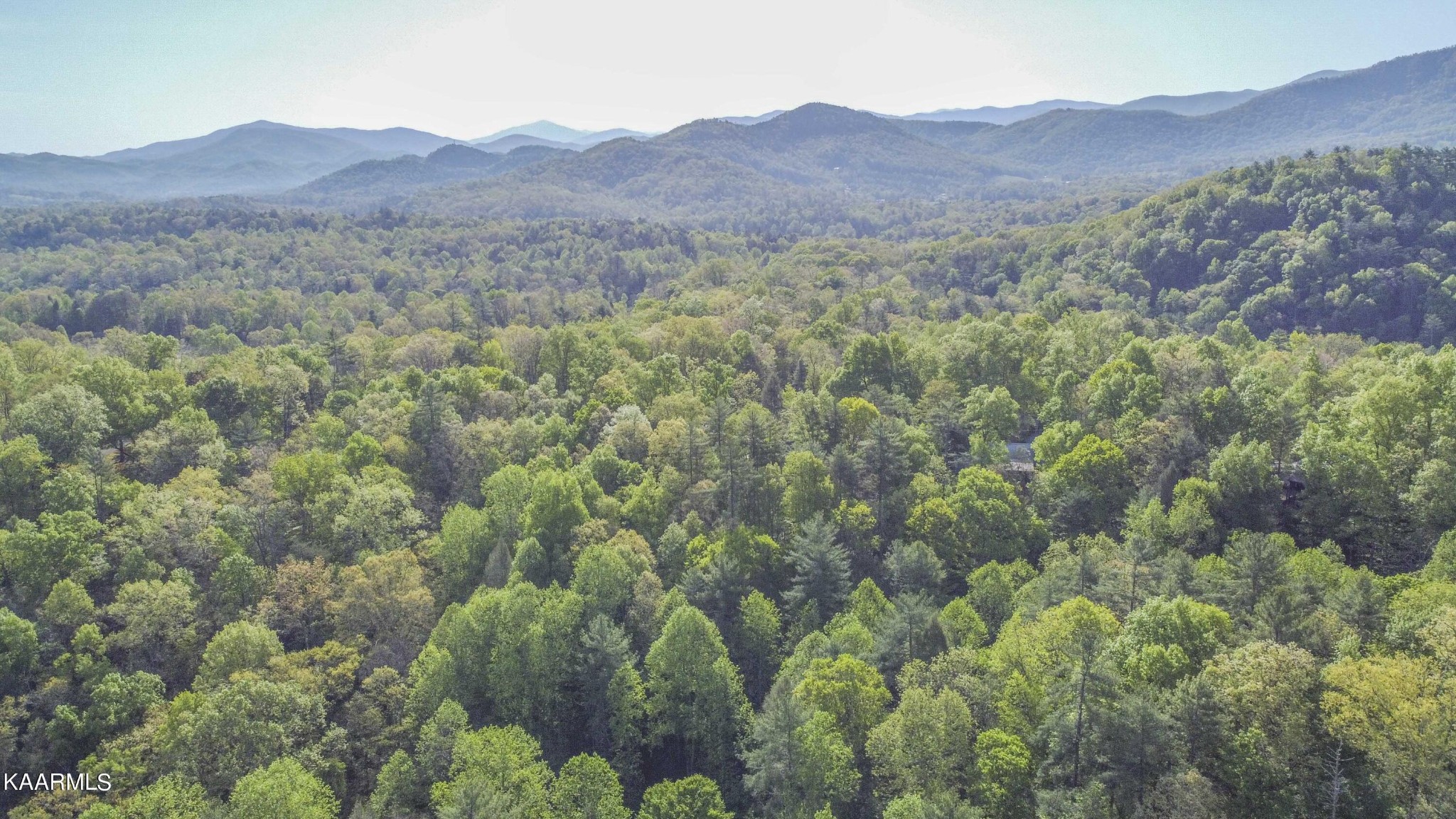 106 Club View Road Townsend, TN 37882 - Photo 39 of 55 a view of a lush green hillside and a houses