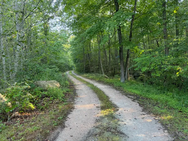 a view of a road with a trees in the background