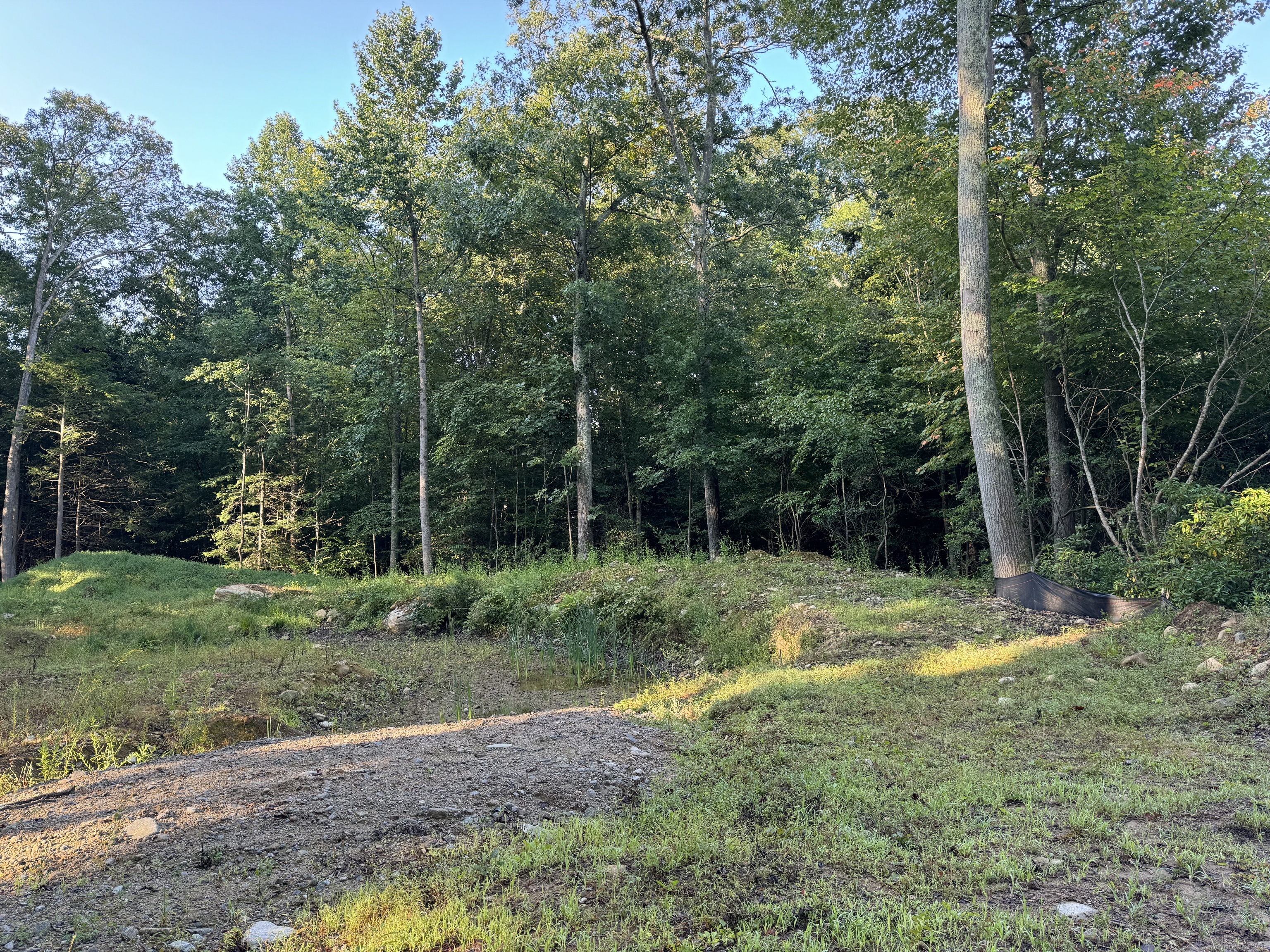 48 A Ironworks Road Clinton, CT 06413 - Photo 7 of 12 a view of a backyard with trees