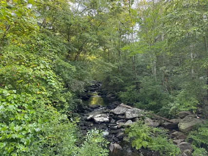 a view of backyard with green space