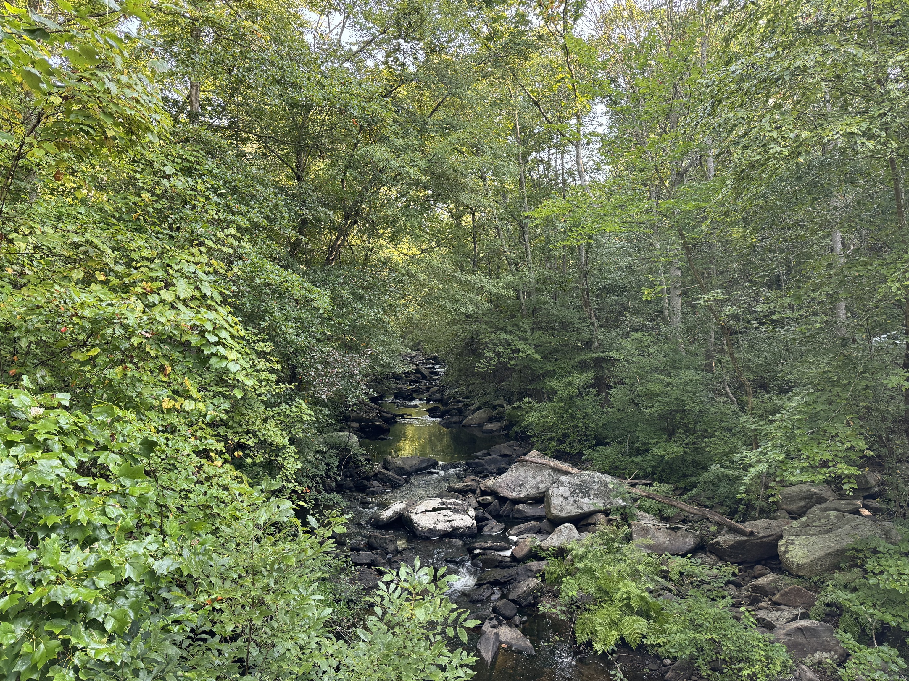 48 A Ironworks Road Clinton, CT 06413 - Photo 9 of 12 a view of a forest with a tree
