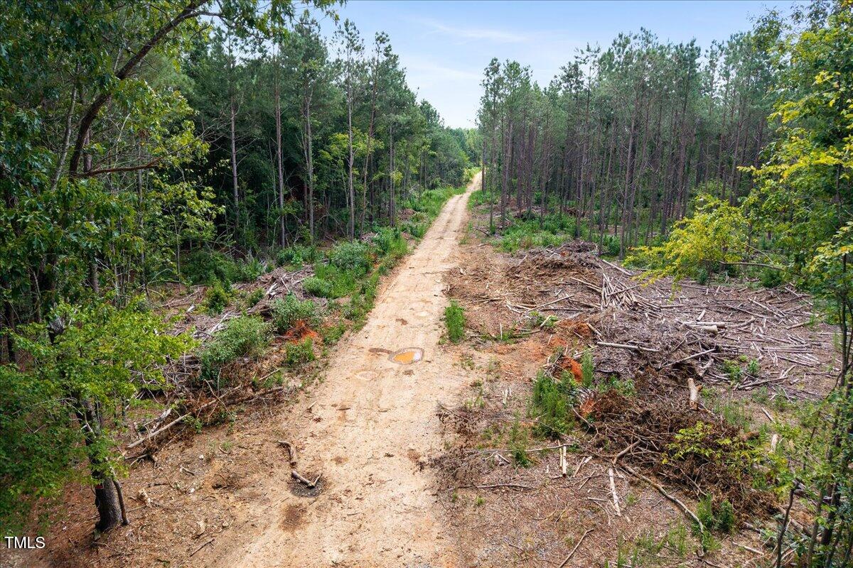 3 Crabtree Road Carthage, NC 28327 - Photo 11 of 11 a view of a pathway with a park