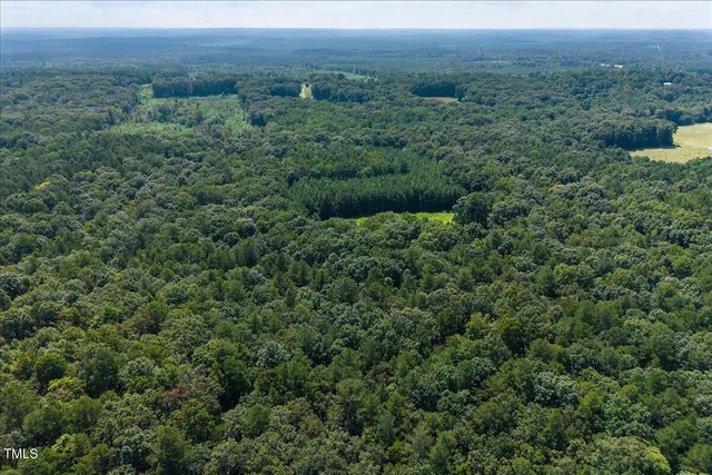 a view of a lush green forest with trees and some houses