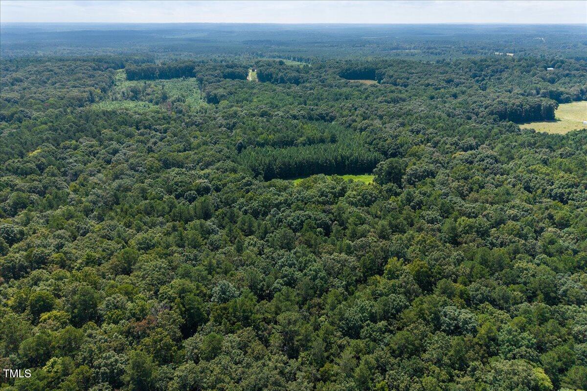 3 Crabtree Road Carthage, NC 28327 - Photo 6 of 11 a view of a lush green forest with trees and some houses