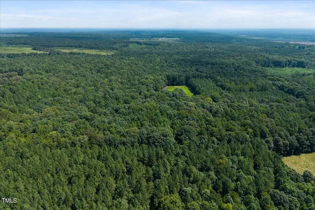 a view of a green field with lots of bushes