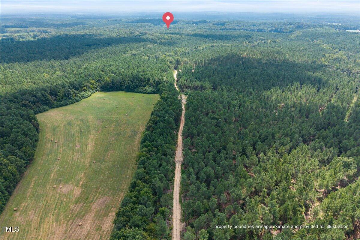 3 Crabtree Road Carthage, NC 28327 - Photo 9 of 11 a view of a green yard with large trees