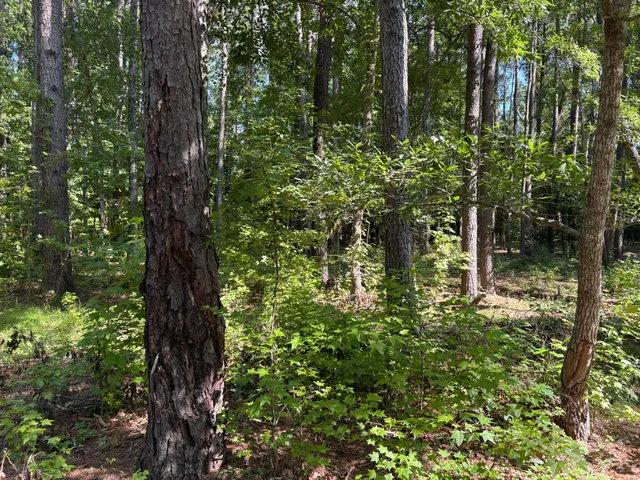 $225,000 | 312 Weeks Landing Road, Cameron, SC 29030