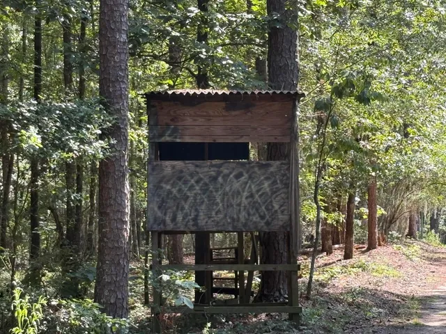 $225,000 | 312 Weeks Landing Road, Cameron, SC 29030