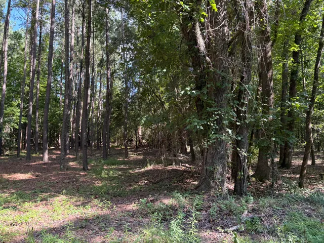 $225,000 | 312 Weeks Landing Road, Cameron, SC 29030