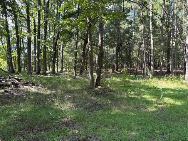 $225,000 | 312 Weeks Landing Road, Cameron, SC 29030