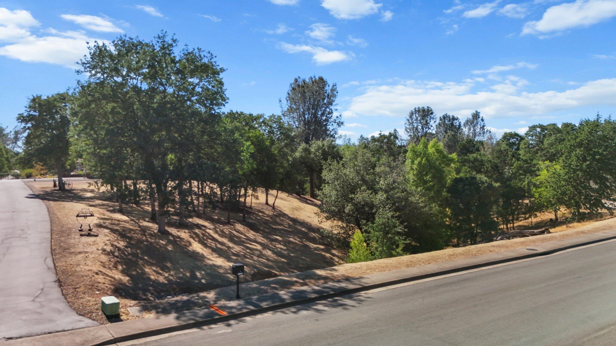 11632 Ridgewood Road Redding, CA 96003 - Photo 13 of 15 a view of a pathway with a yard