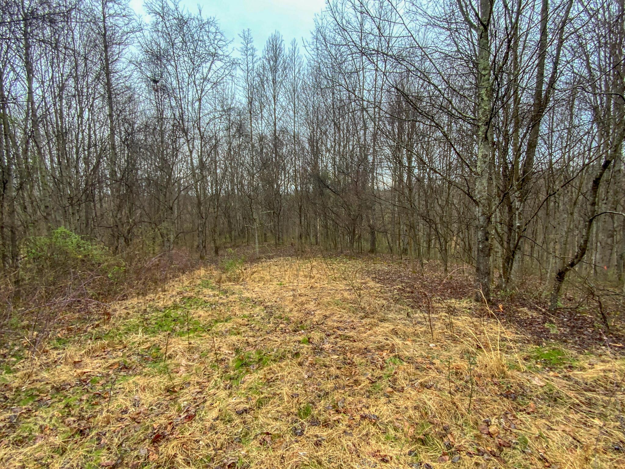 0 Twp Road Caldwell, OH 43724 - Photo 11 of 25 IMG_5484