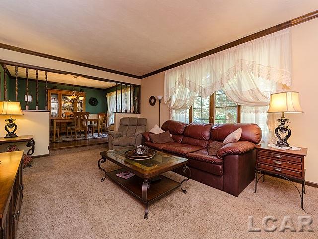 6779 West Munger Road Onsted, MI 49265 - Photo 40 of 46 31244419-40.JPG