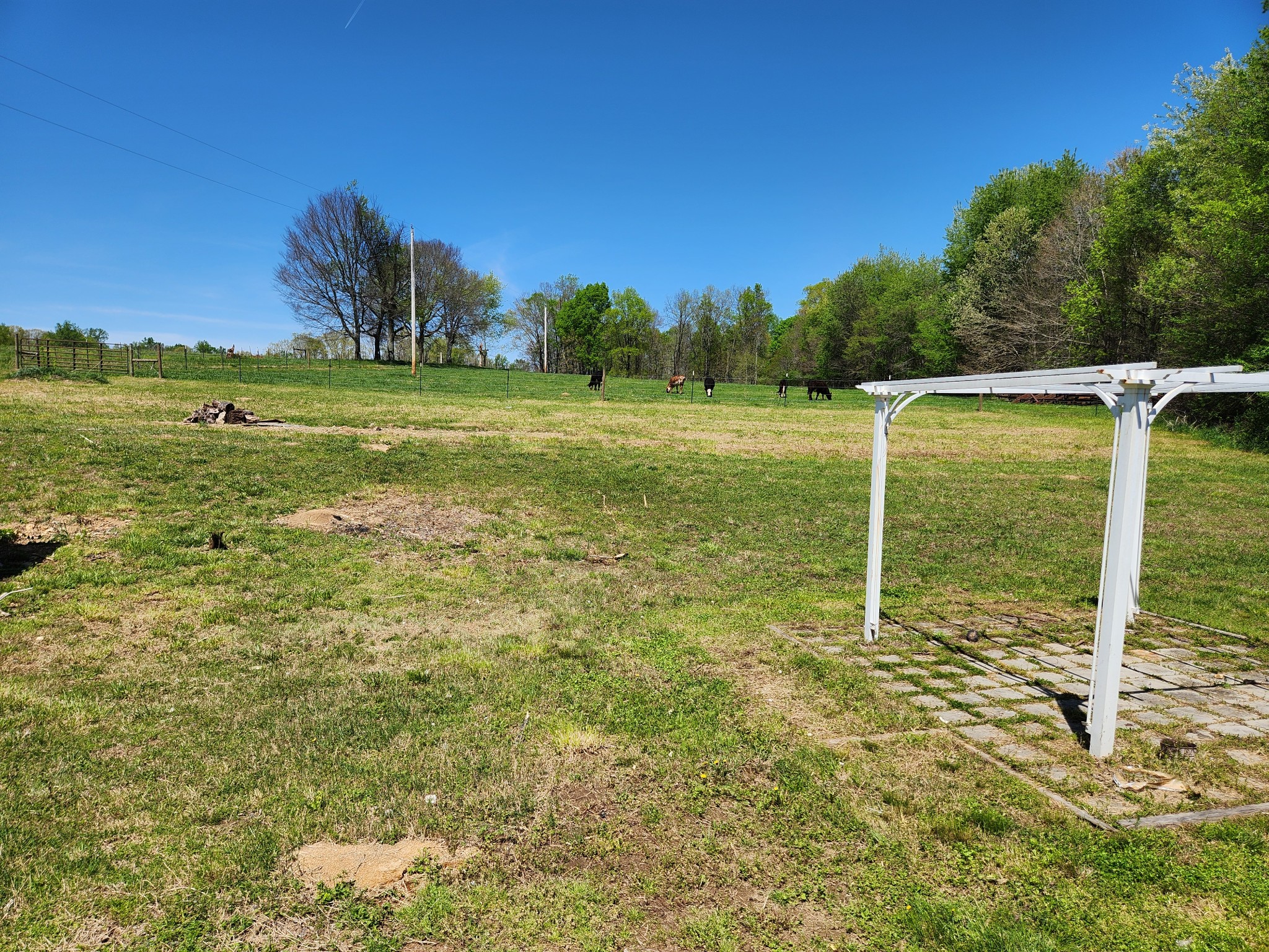 951 Revilo Road Five Points, TN 38457 - Photo 21 of 23