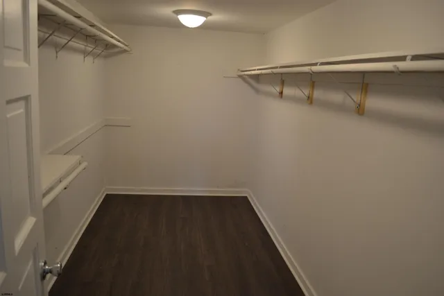 a view of walk in closet with empty racks