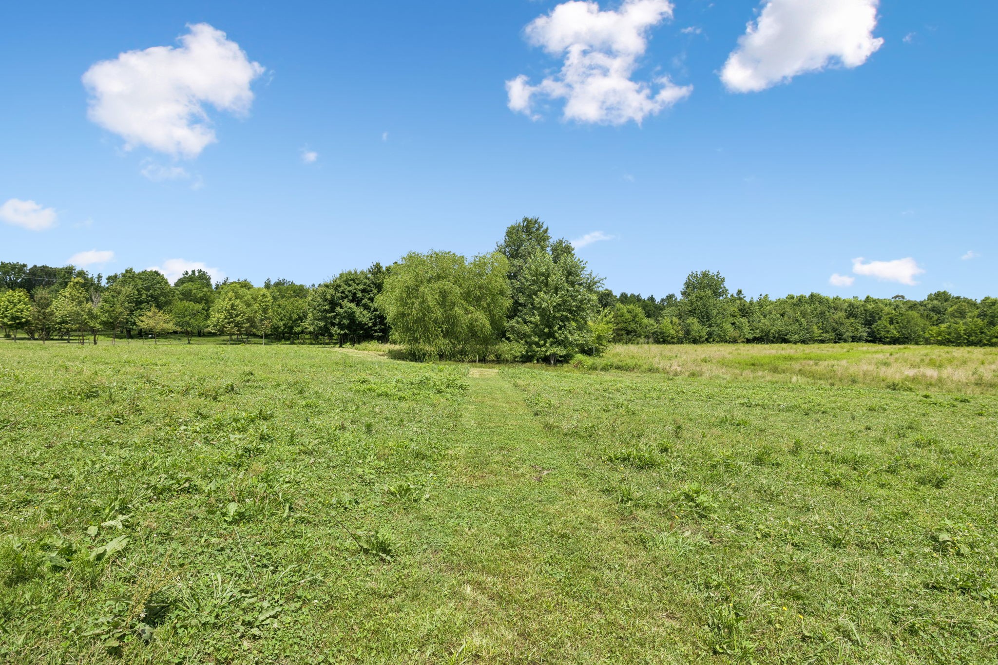 145 McAfee Road Morrison, TN 37357 - Photo 72 of 76