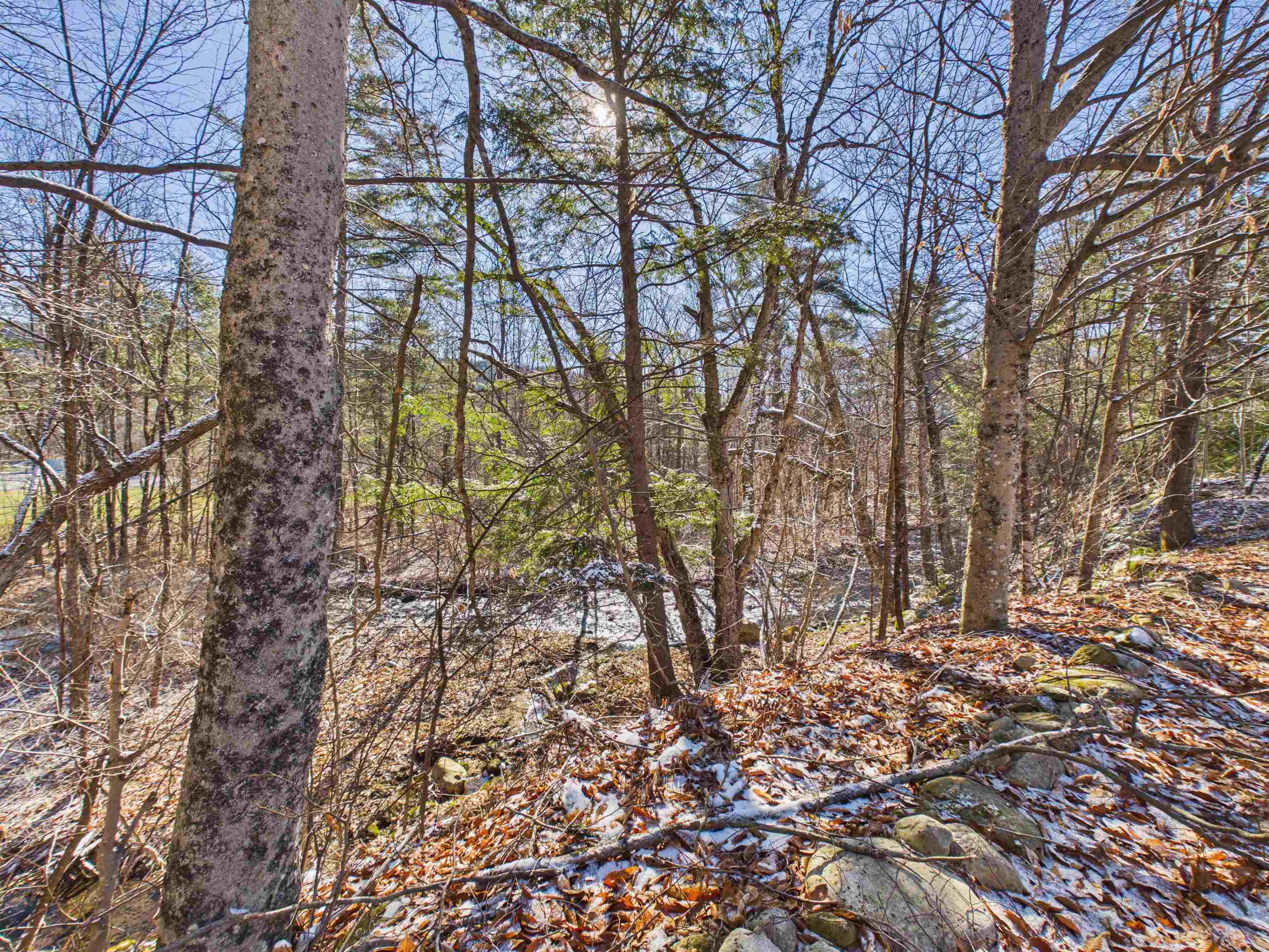 20 Pondview Road Chittenden, VT 05737 - Photo 25 of 25