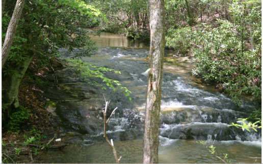 Casper Cherry Log, GA 30522 - Photo 1 of 1 Main View