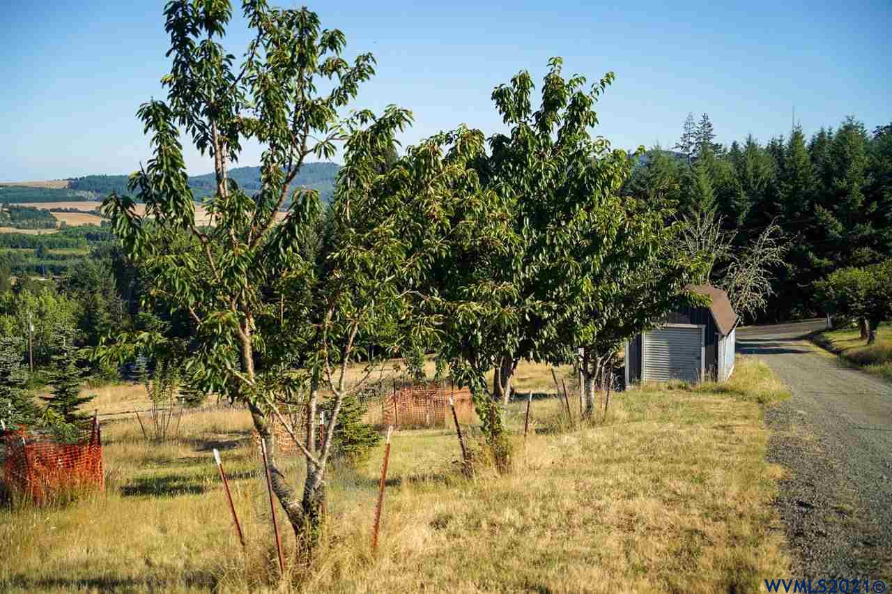 West Larson (lot 18) Road Monroe, OR 97456 - Photo 10 of 21