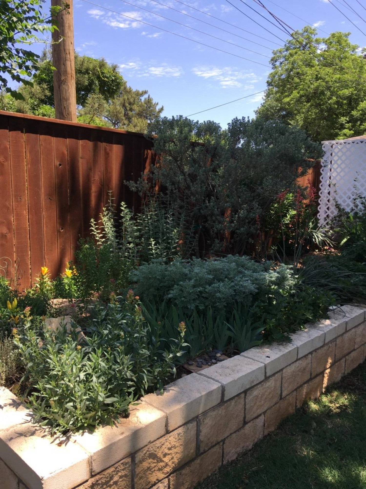 3206 69th Street Lubbock, TX 79413 - Photo 38 of 48 Photo 38