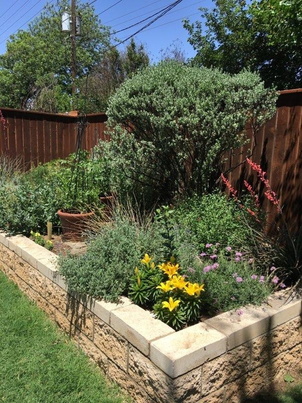 3206 69th Street Lubbock, TX 79413 - Photo 39 of 48 Photo 39