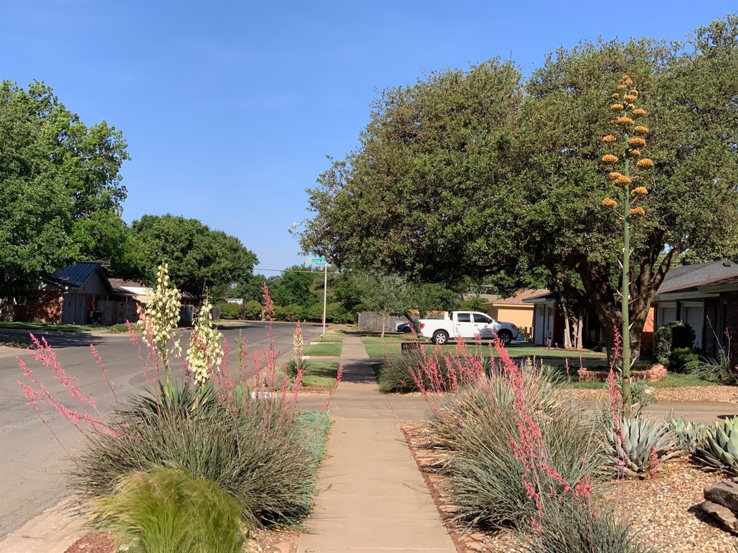 3206 69th Street Lubbock, TX 79413 - Photo 48 of 48 Photo 48