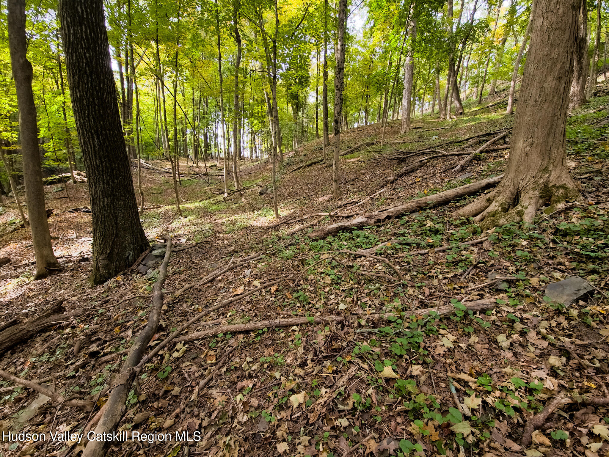 0 White Street Highland, NY 12528 - Photo 11 of 17 a view of backyard with green space