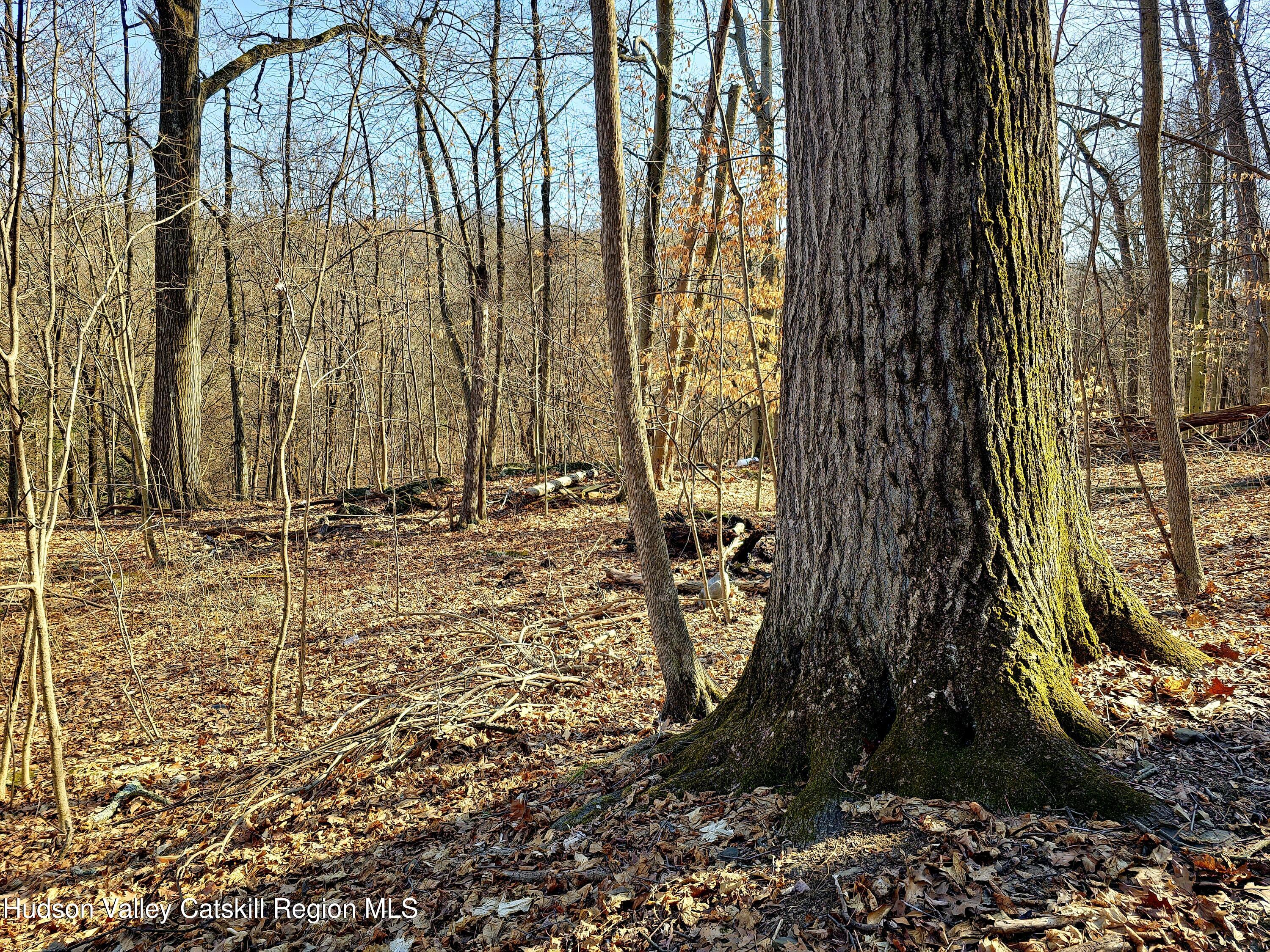 0 White Street Highland, NY 12528 - Photo 13 of 17 a view of wooden fence