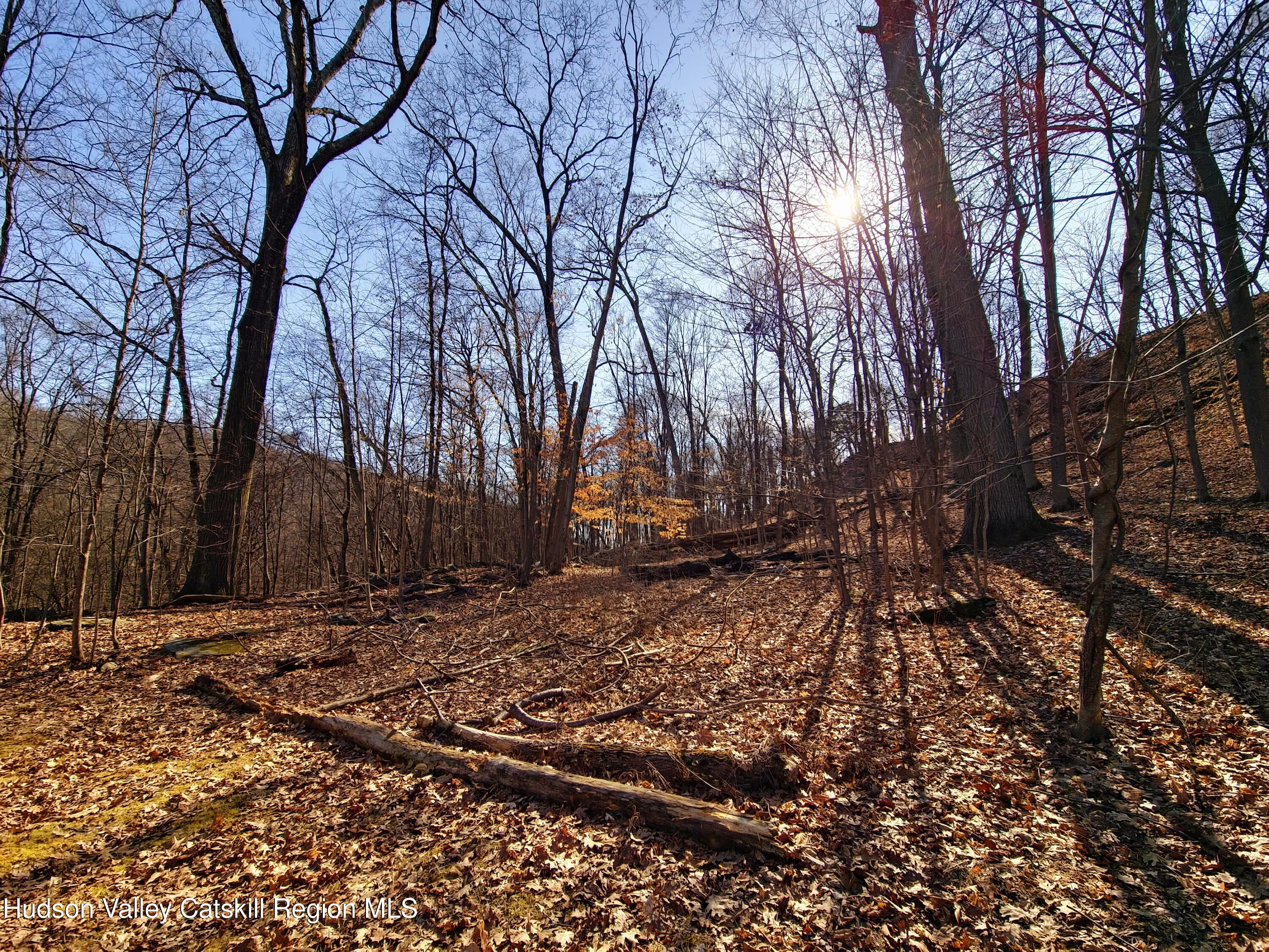 0 White Street Highland, NY 12528 - Photo 14 of 17 a view of a backyard of the house