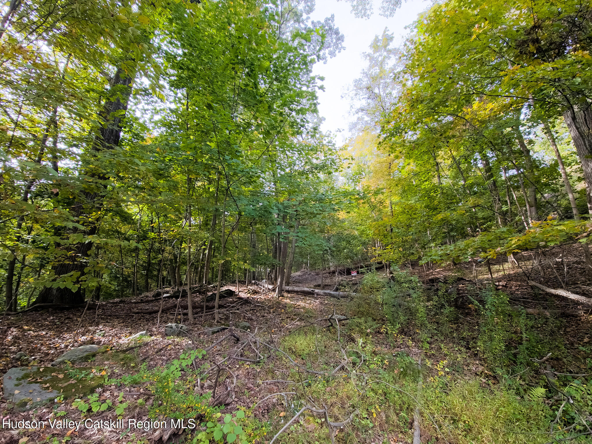 0 White Street Highland, NY 12528 - Photo 2 of 17 a view of outdoor space and trees