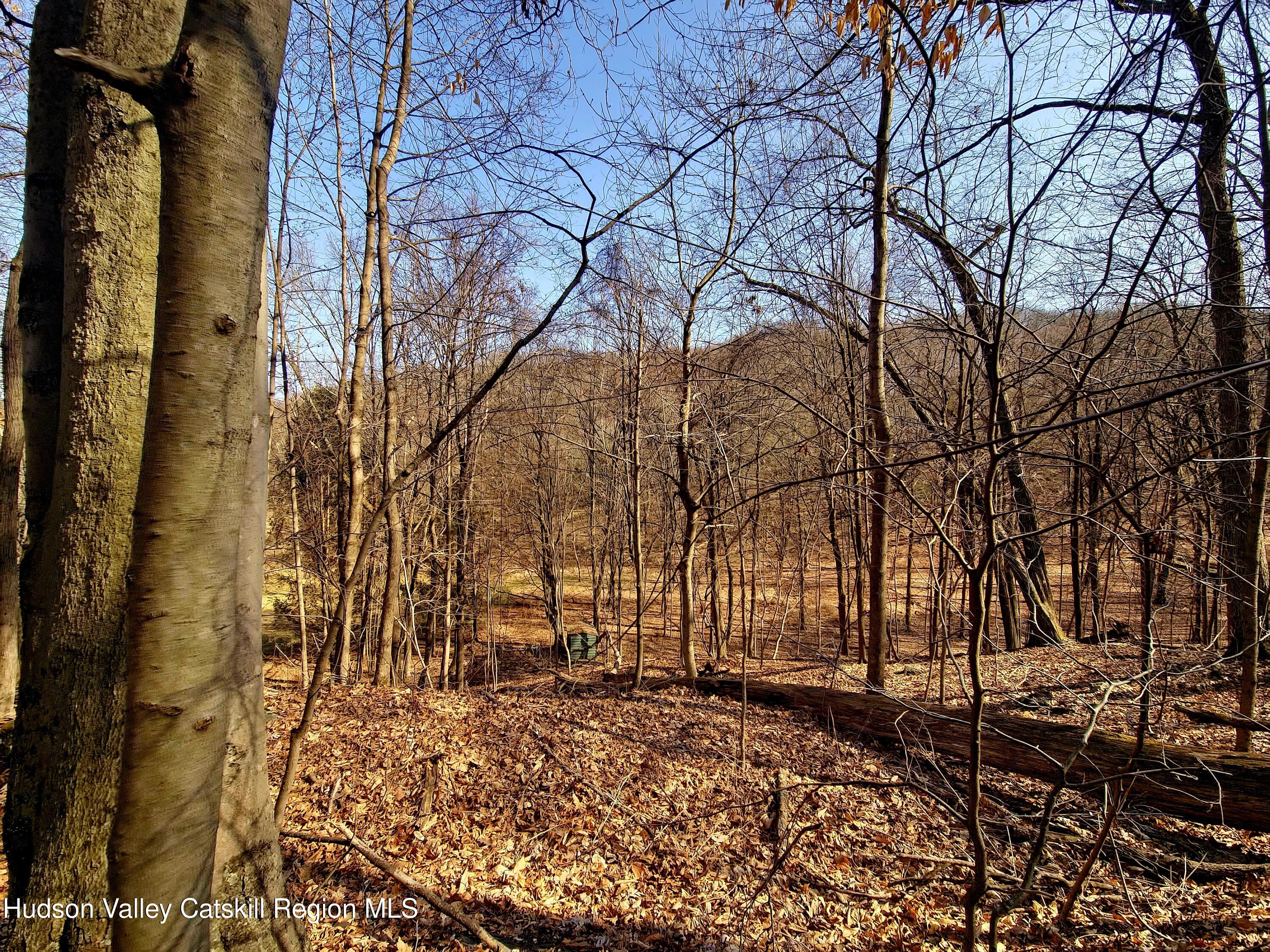 0 White Street Highland, NY 12528 - Photo 4 of 17 a view of a backyard of the house