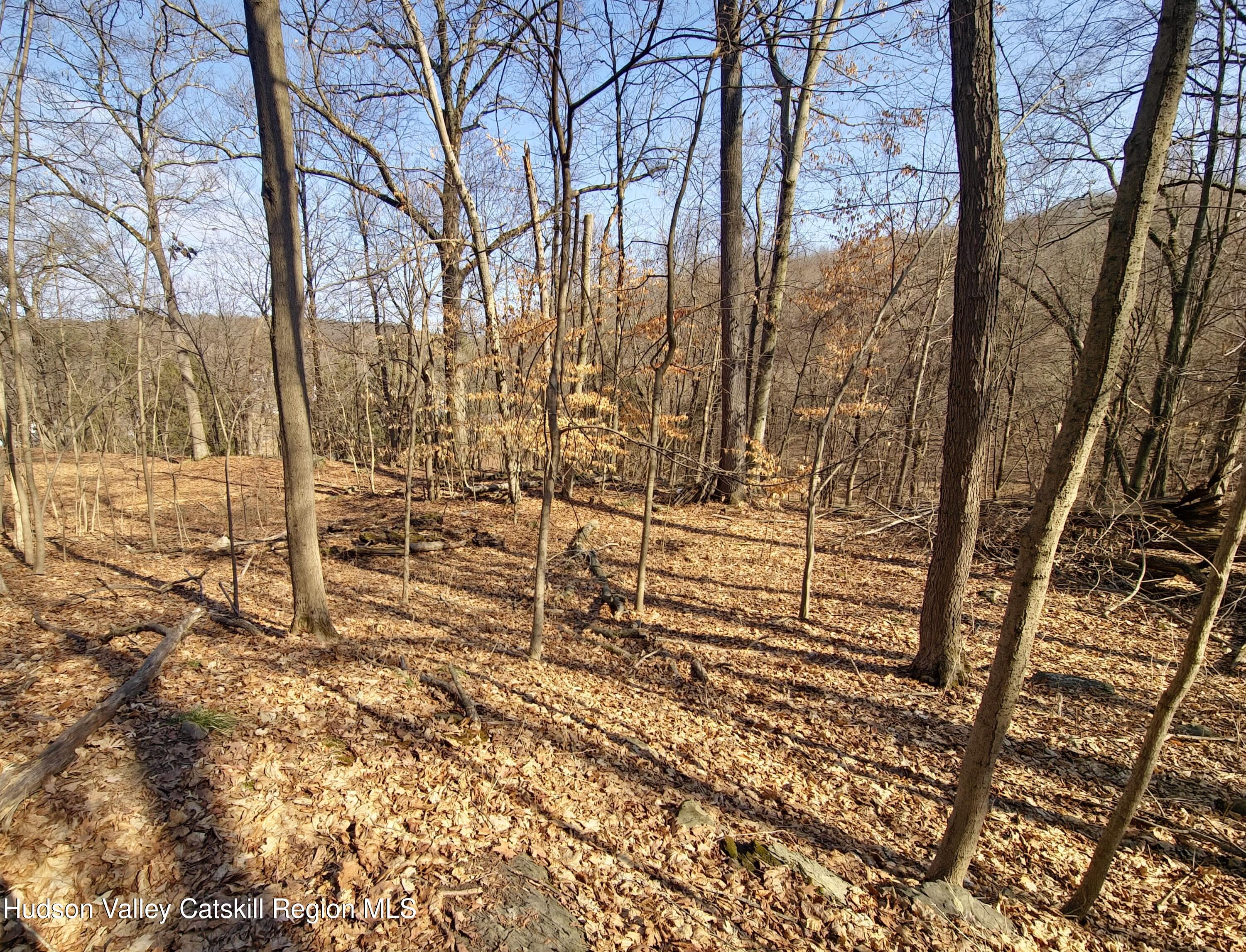 0 White Street Highland, NY 12528 - Photo 5 of 17