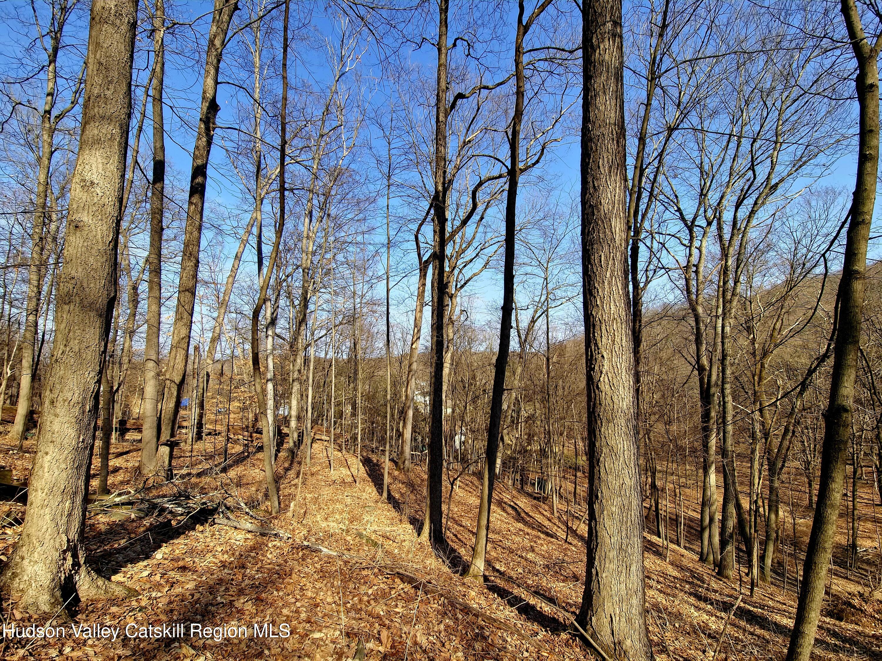 0 White Street Highland, NY 12528 - Photo 6 of 17 a view of a yard of the house