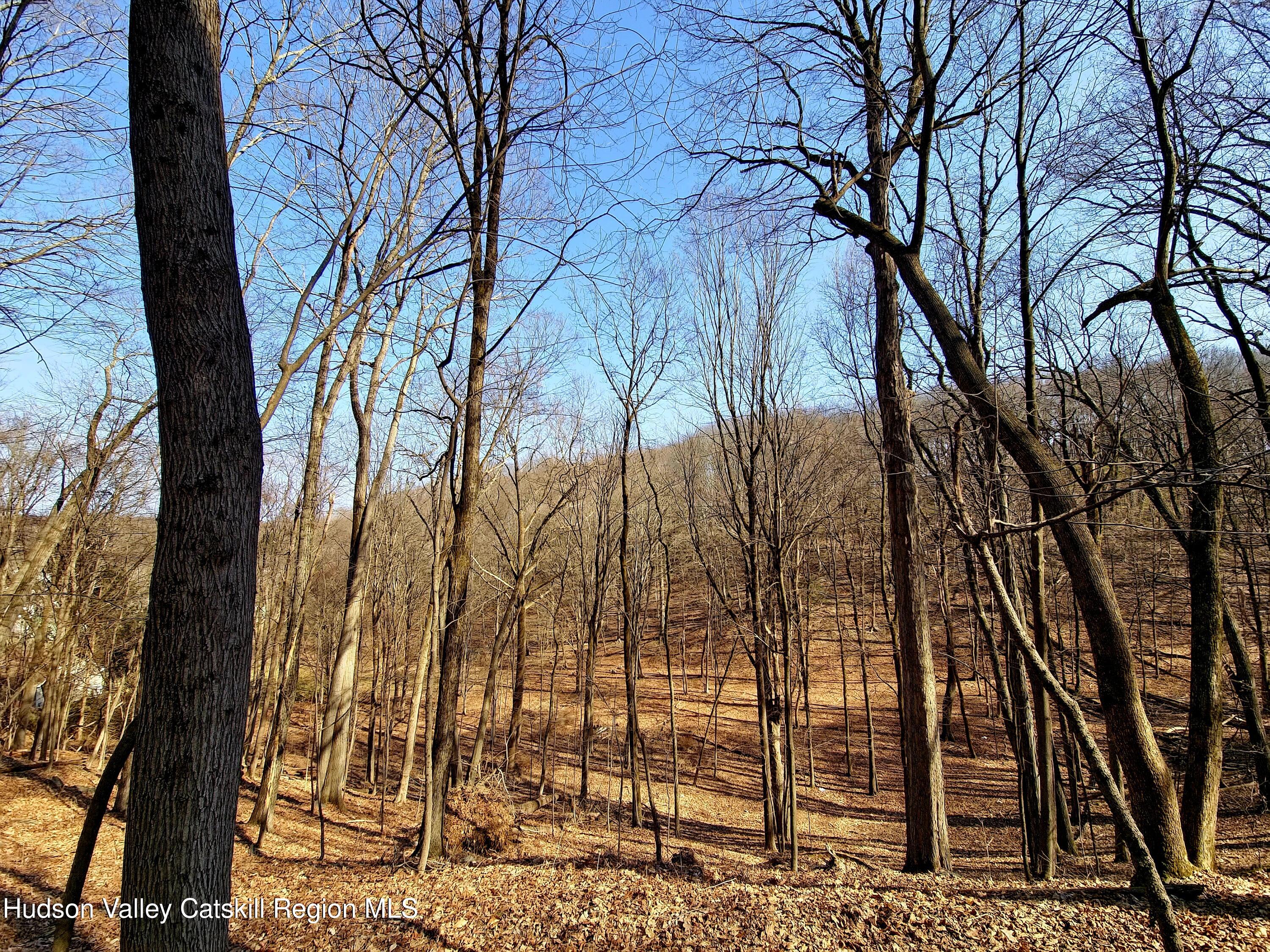 0 White Street Highland, NY 12528 - Photo 7 of 17 a view of backyard of house