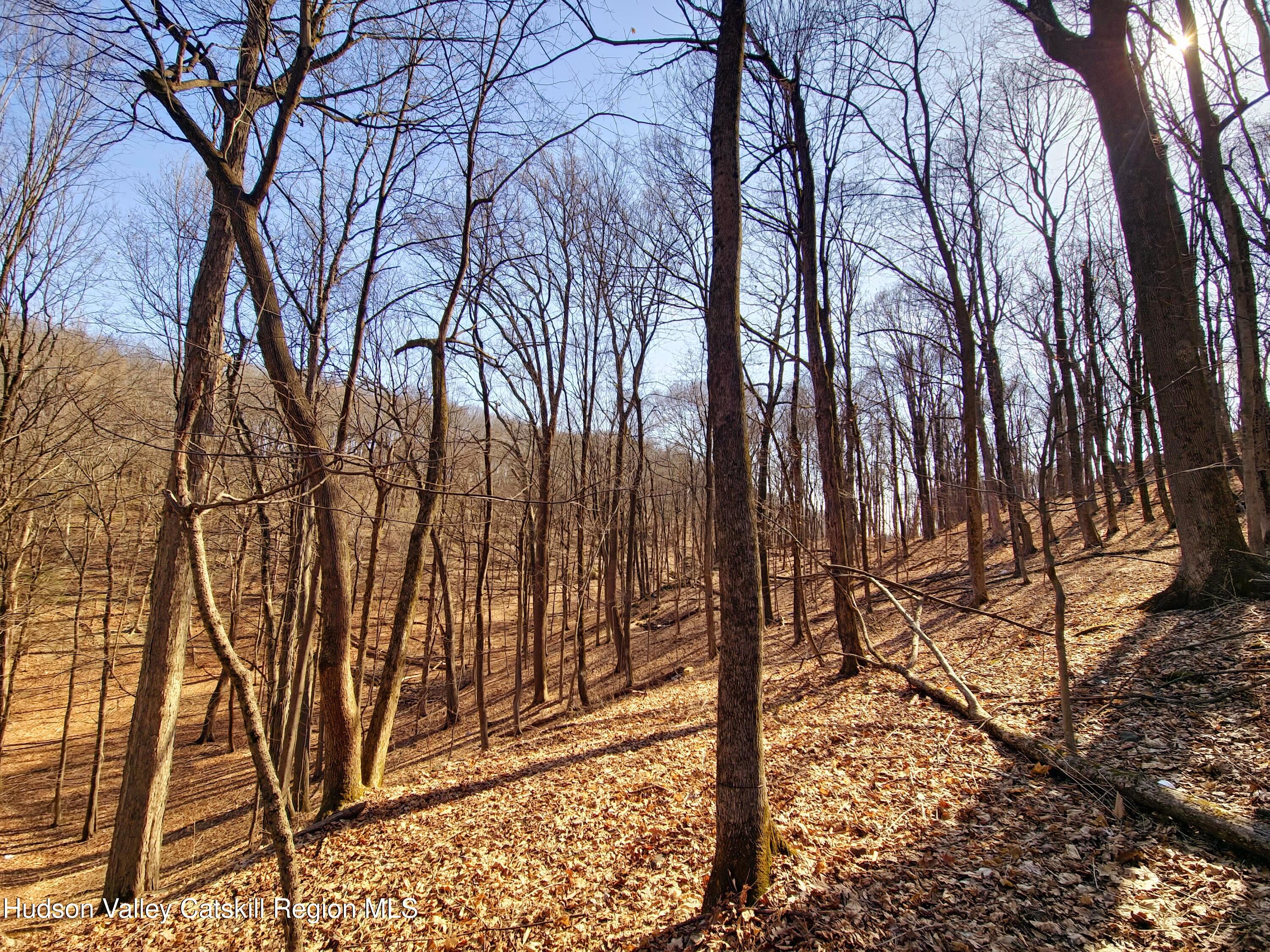0 White Street Highland, NY 12528 - Photo 8 of 17 a view of a yard with trees