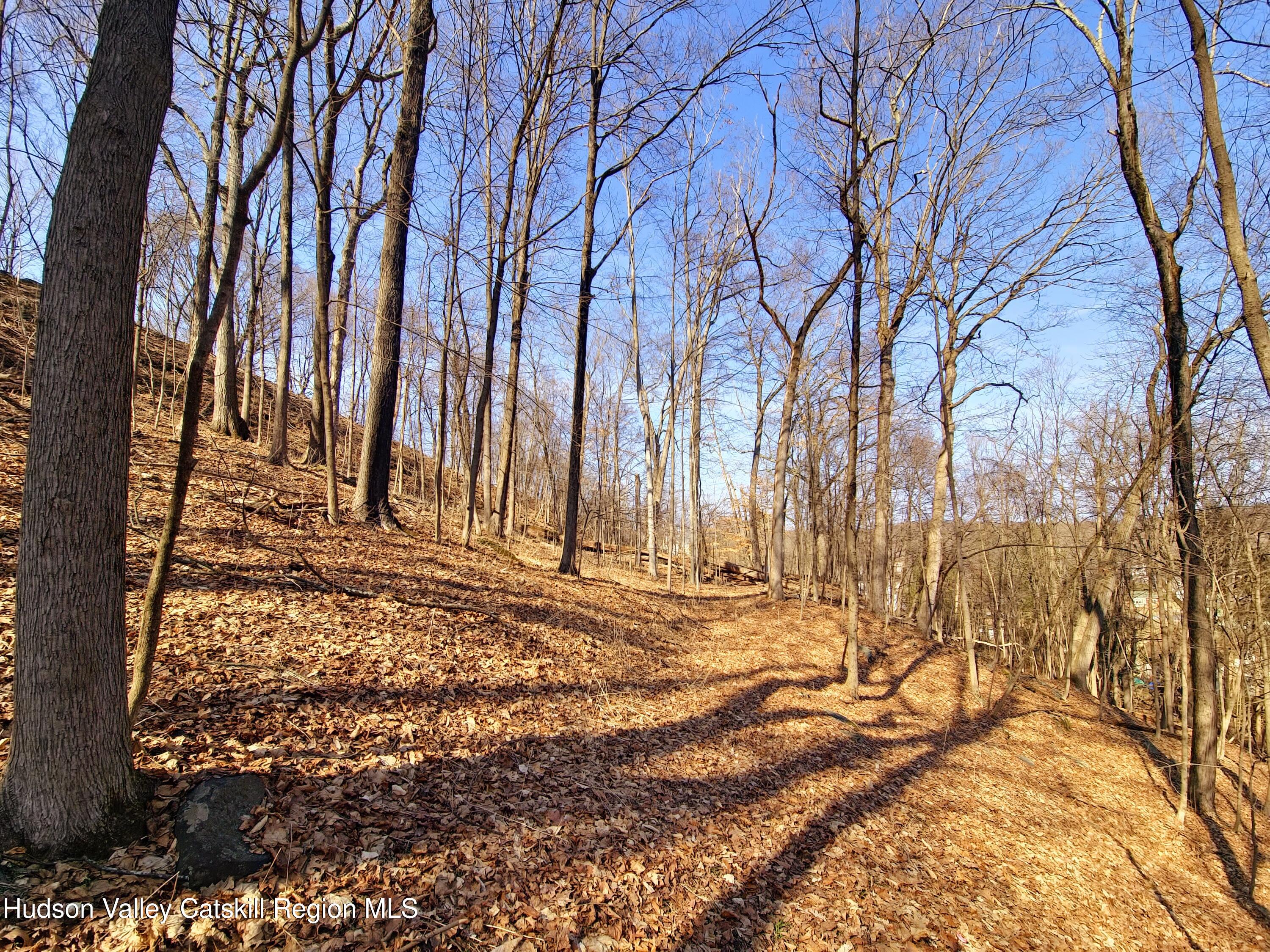 0 White Street Highland, NY 12528 - Photo 10 of 17 a view of a backyard of the house