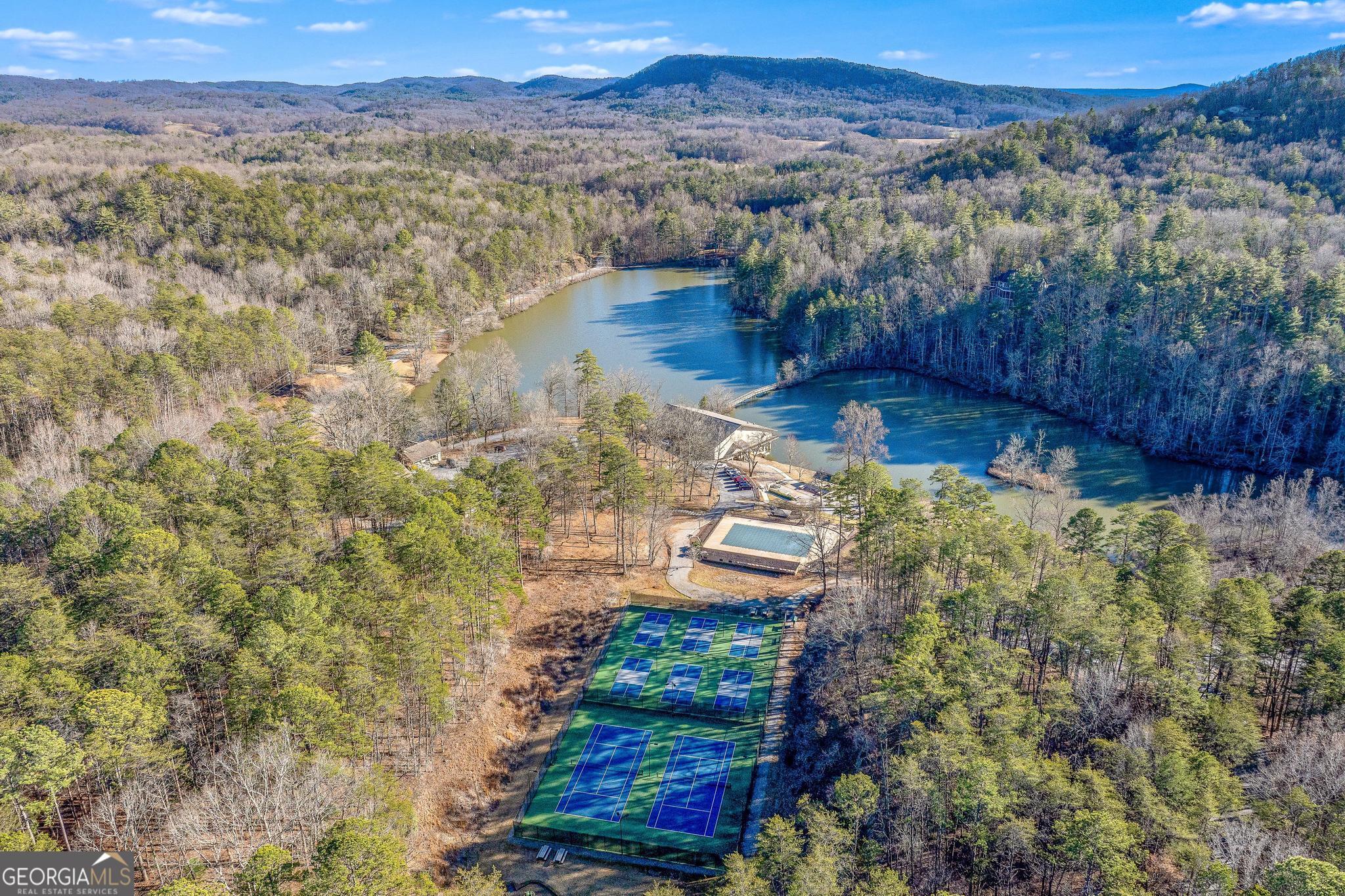310 Blue Ridge Drive Sautee Nacoochee, GA 30571 - Photo 60 of 78 a view of a city with mountains in the background