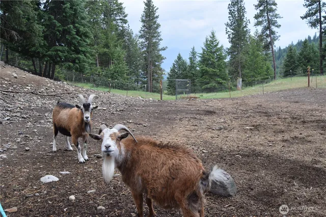 $339,000 | 621 South Erdman, Republic, WA 99166