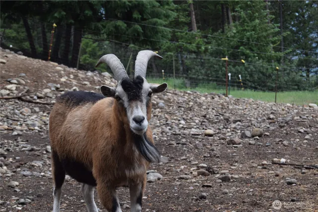 $339,000 | 621 South Erdman, Republic, WA 99166