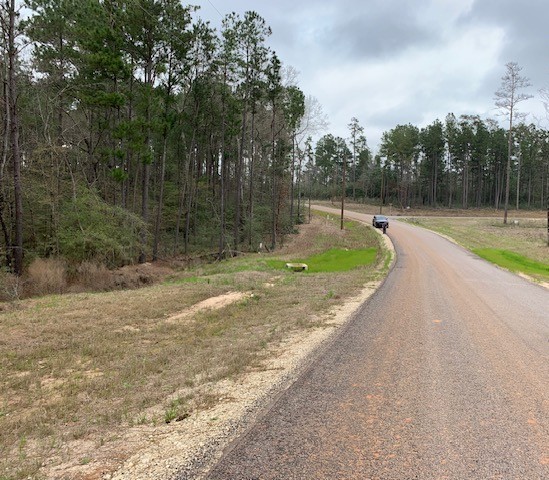 4-b-11-8 Sundog Road Huntsville, TX 77340 - Photo 11 of 15