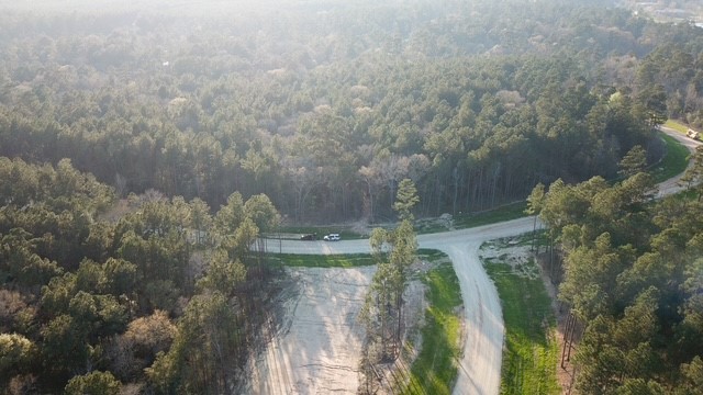 4-b-11-8 Sundog Road Huntsville, TX 77340 - Photo 7 of 15