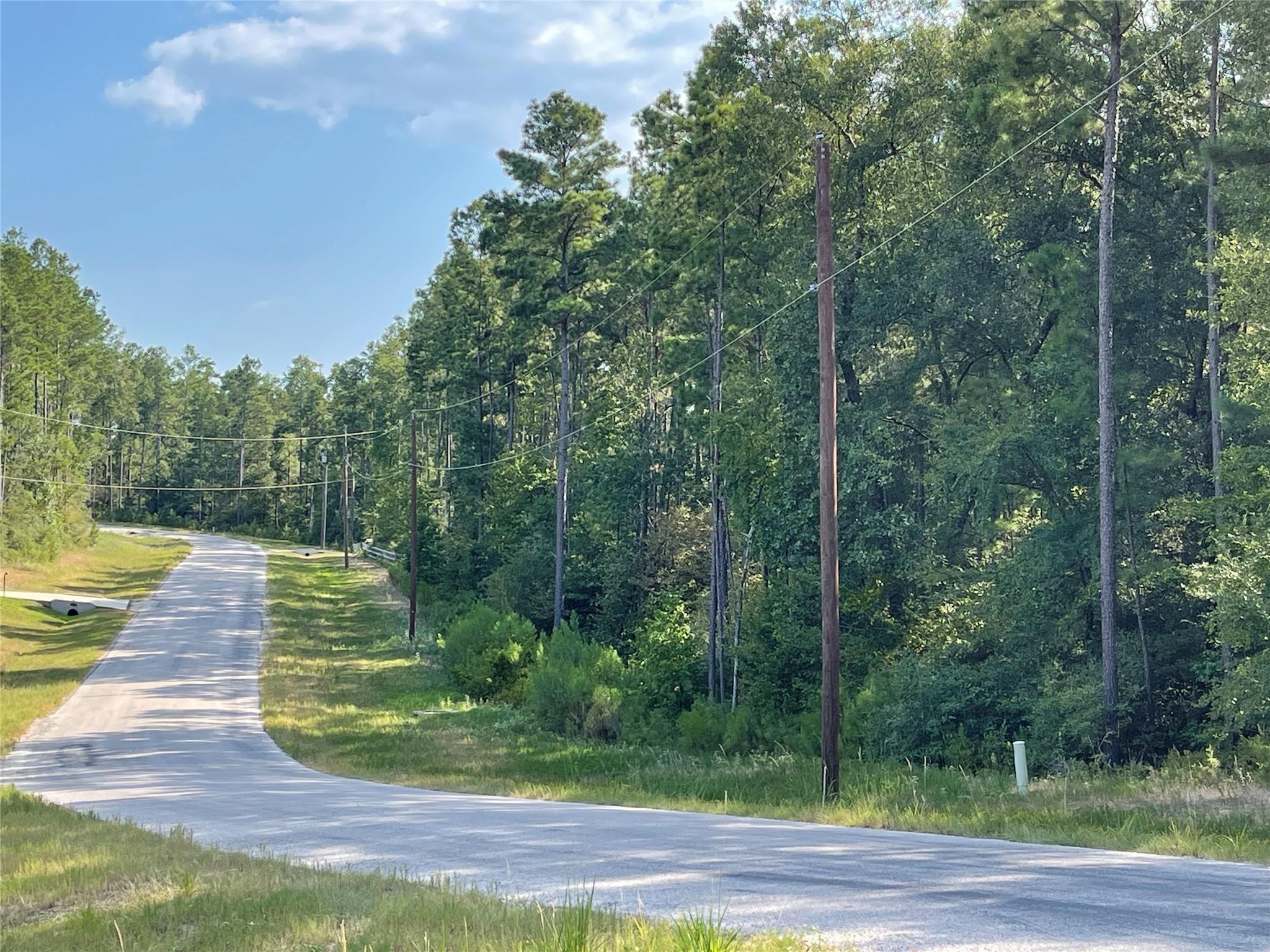 4-b-11-8 Sundog Road Huntsville, TX 77340 - Photo 10 of 15