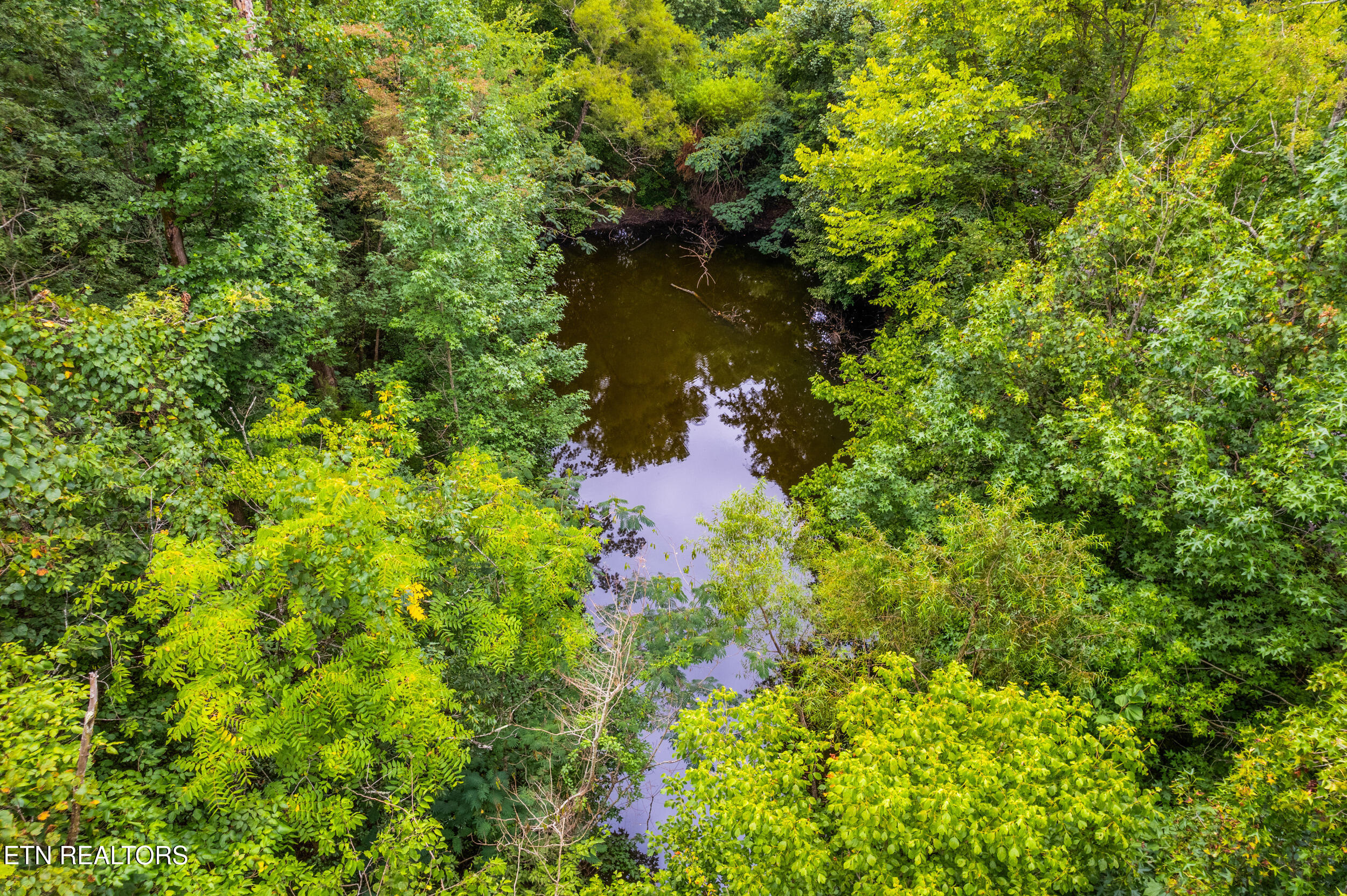 1-2 Rhondas Way Bean Station, TN 37708 - Photo 11 of 14 Leons Rock -pond- close up