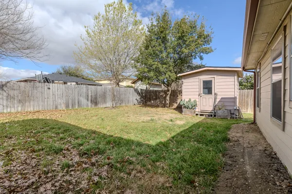 a view of a backyard with a large tree