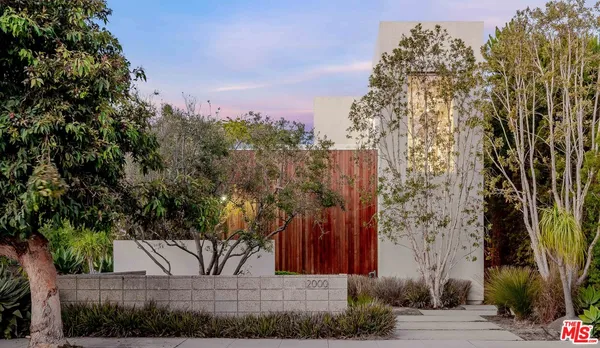 a view of a yard with plants and trees