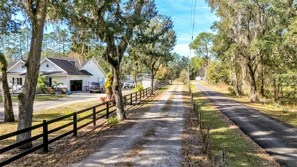 a view of a yard with plants and trees