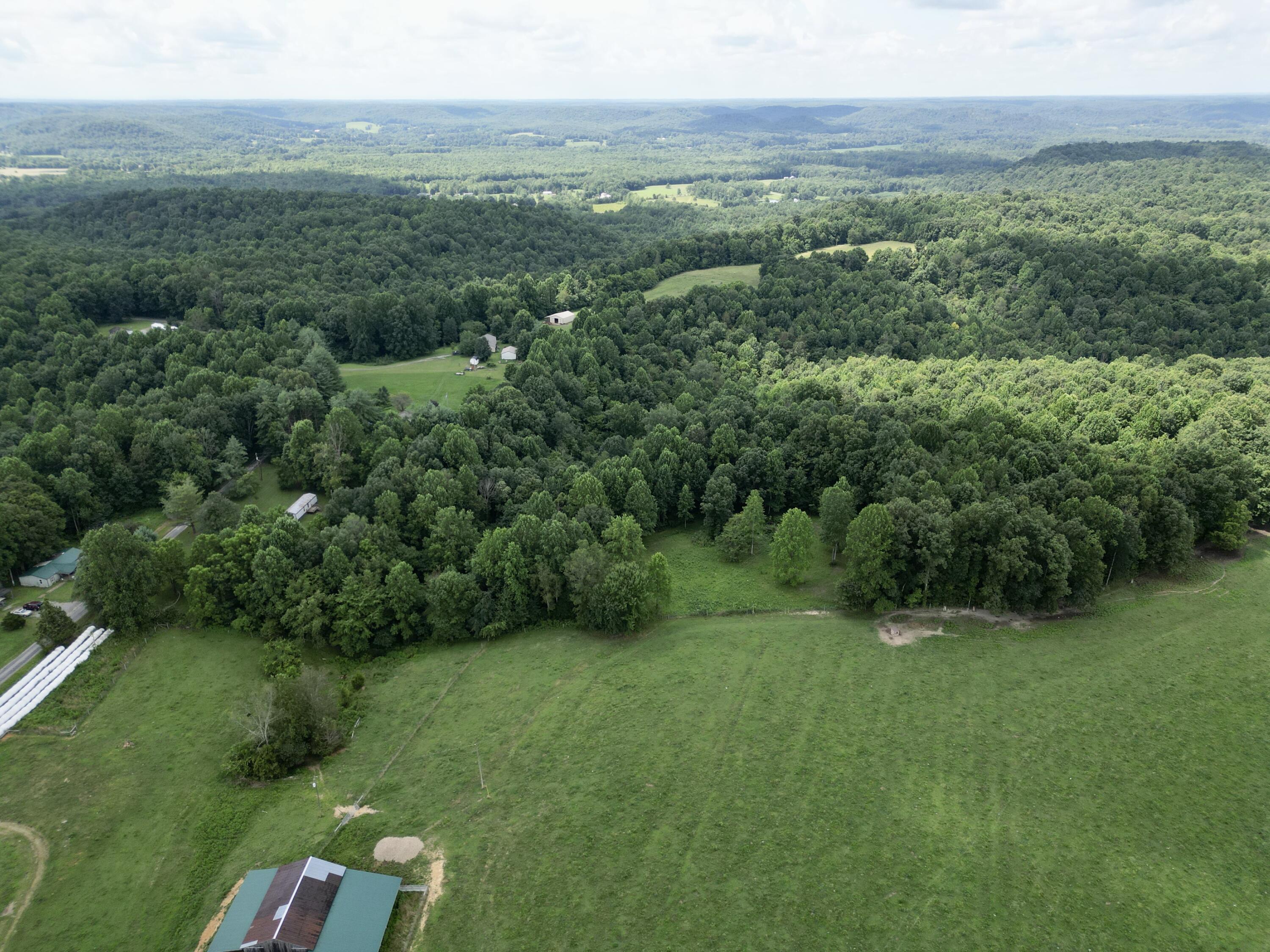 3280 Ewing Ridge Road Dunnville, KY 42528 - Photo 38 of 40 dji_fly_20250713_051428_349_175259489105
