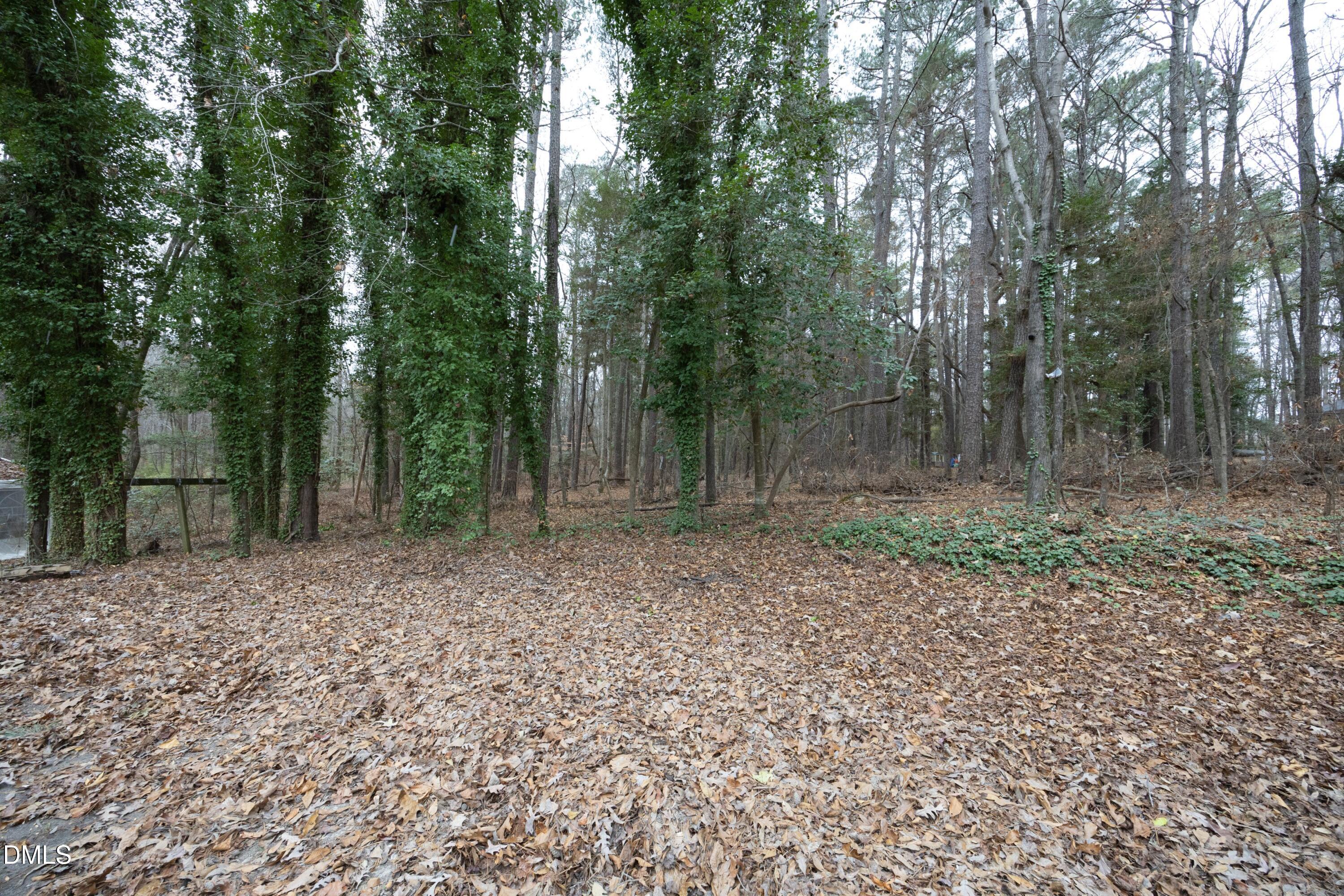 7117 Sunset Lake Road Fuquay-Varina, NC 27526 - Photo 38 of 41 a backyard of a house with lots of green space