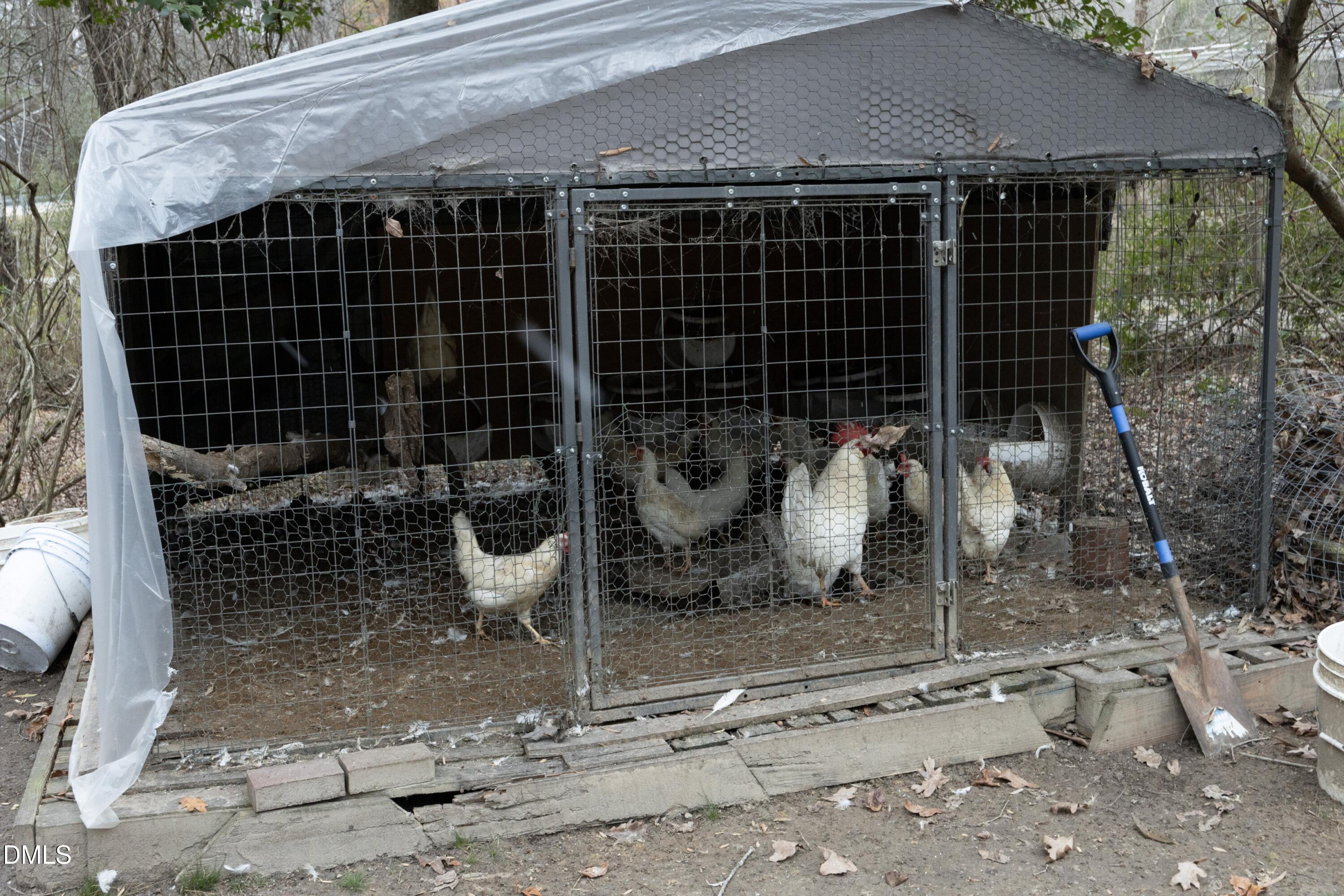 7117 Sunset Lake Road Fuquay-Varina, NC 27526 - Photo 39 of 41 a view of a backyard with plants